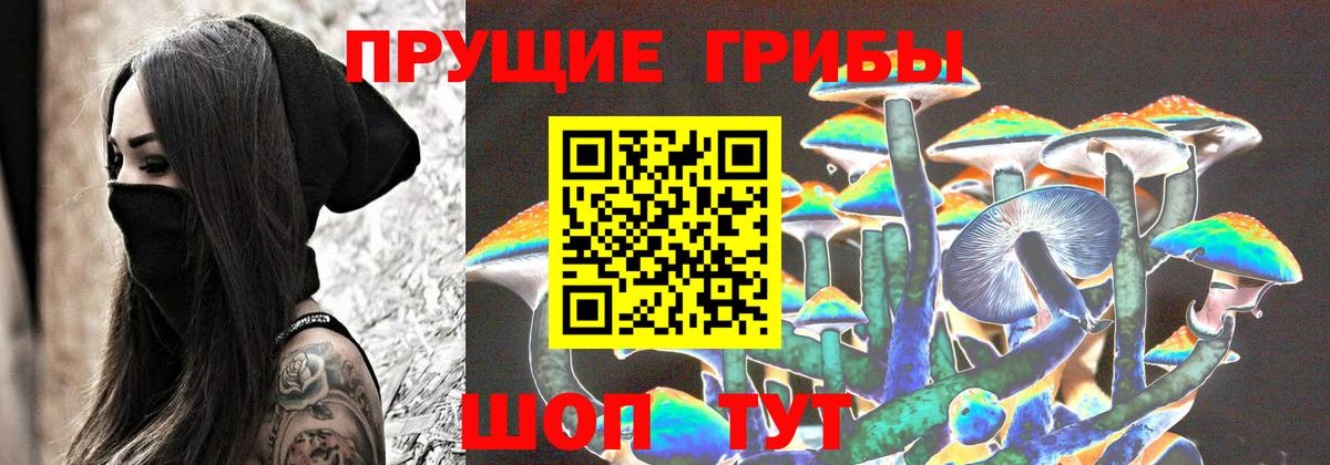 Псилоцибиновые грибы Cubensis Луховицы