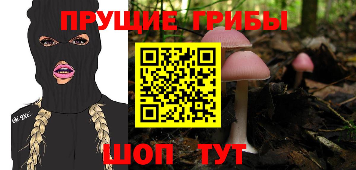 где купить наркотик  Псилоцибиновые грибы прущие грибы  Галлюциногенные грибы Psilocybine cubensis  Вход с VPN  Луховицы 